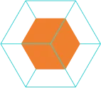shape